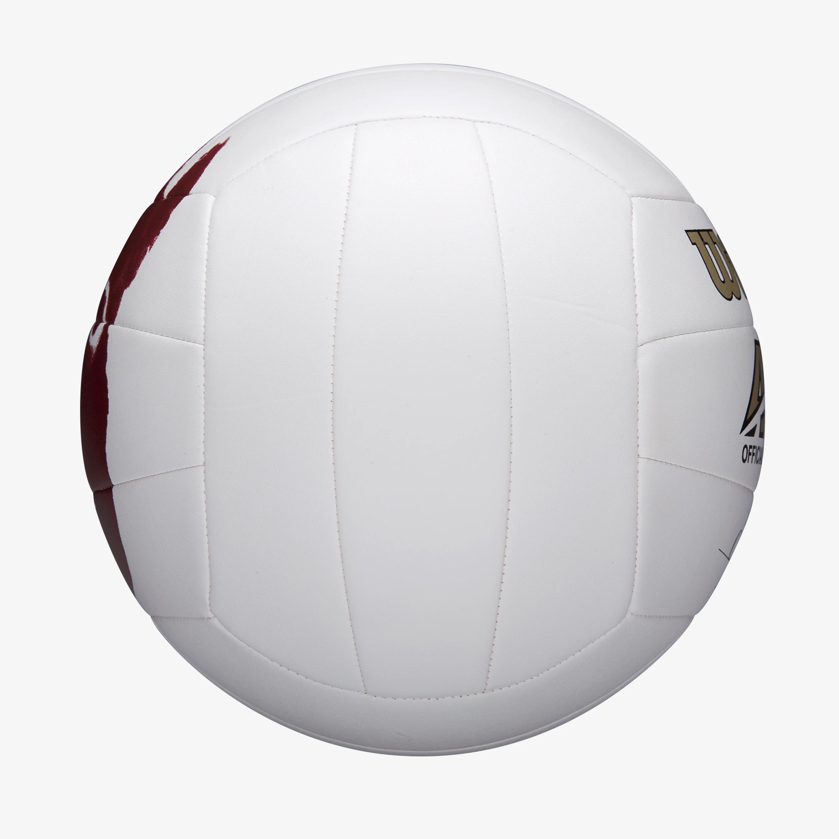 Wilson Castaway Volleyball