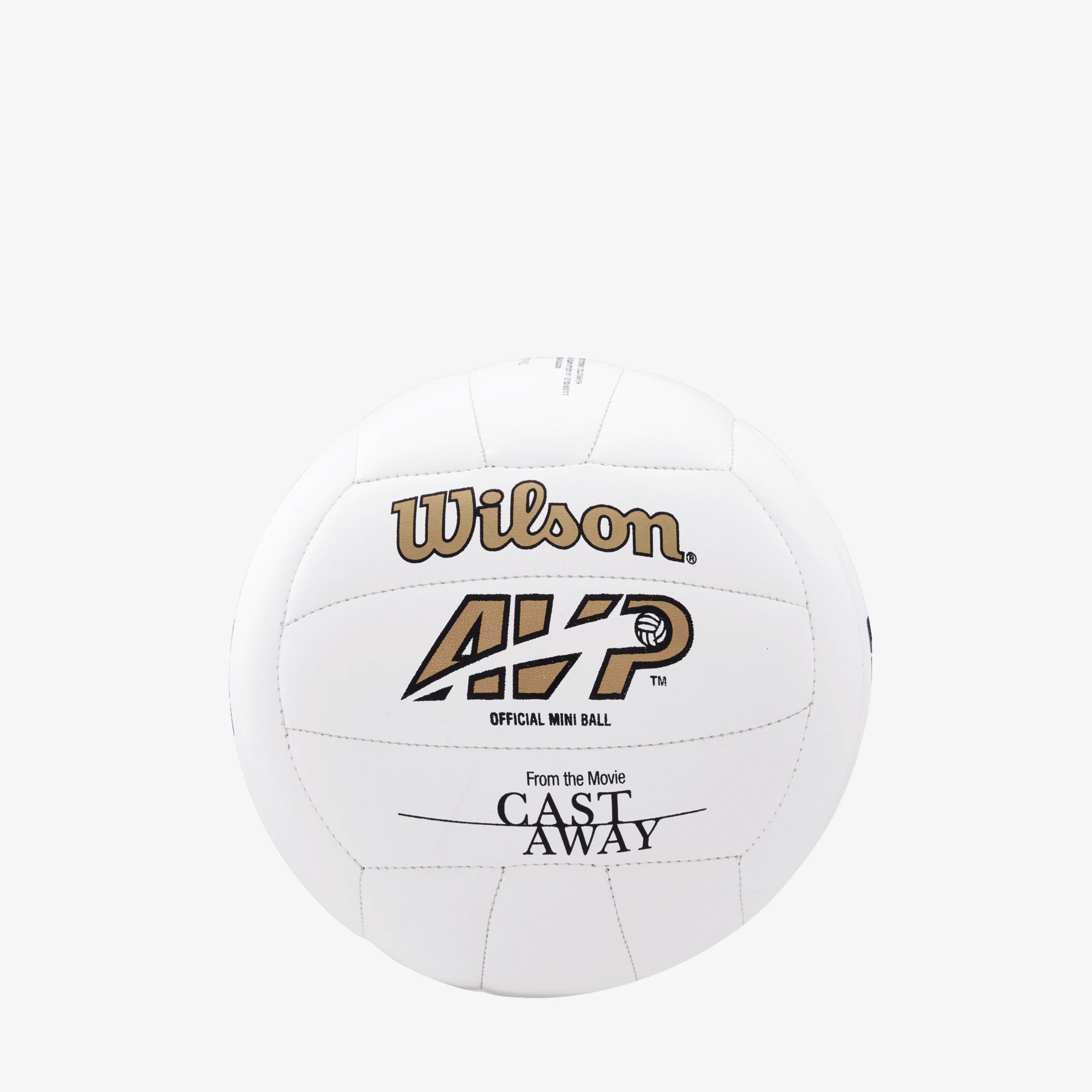 Wilson Castaway Mini Volleyball