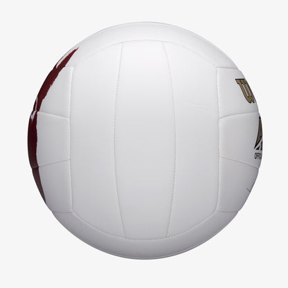 Wilson Castaway Volleyball